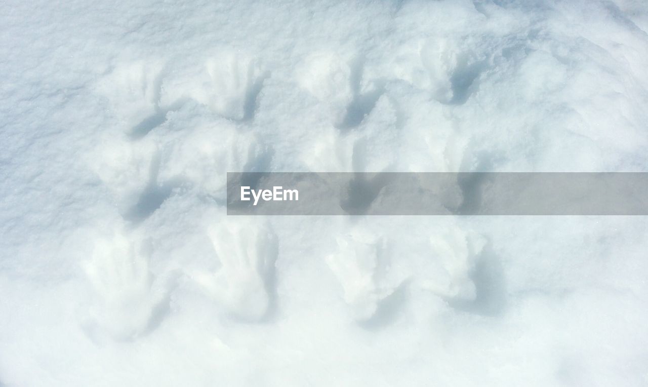 CLOSE-UP OF SNOW