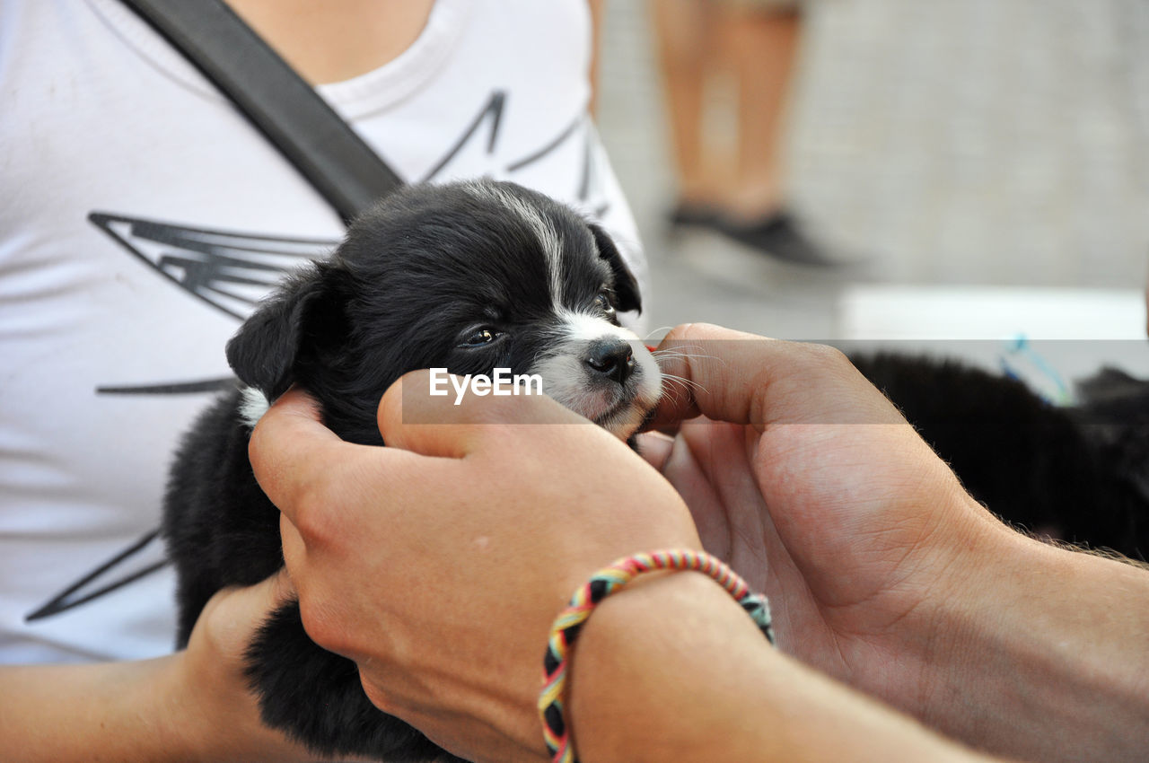 Cropped image of women holding puppy