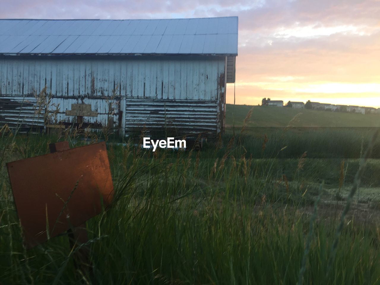 VIEW OF GRASSY FIELD AGAINST SKY AT SUNSET