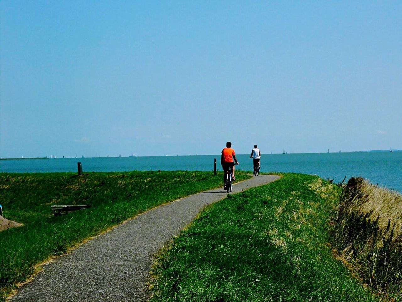 Rear view of men riding bicycles on footpath by sea against clear sky