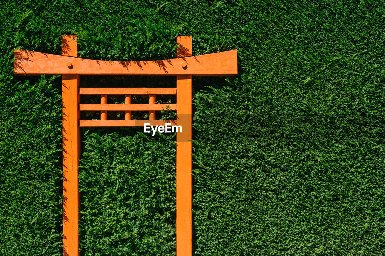An orange torii gate in a garden hedge.