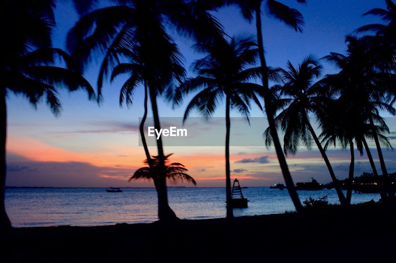 SILHOUETTE PALM TREES ON BEACH AGAINST SKY