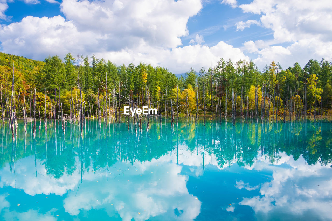 PANORAMIC VIEW OF SWIMMING POOL AGAINST SKY