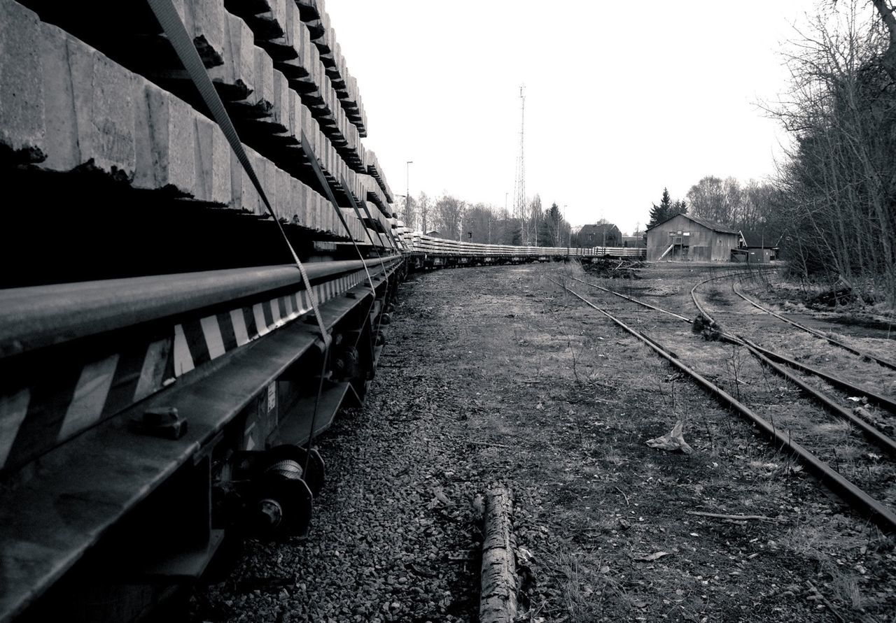 Freight train in forest