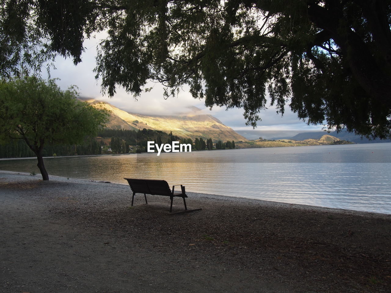 EMPTY CHAIR BY LAKE AGAINST TREES