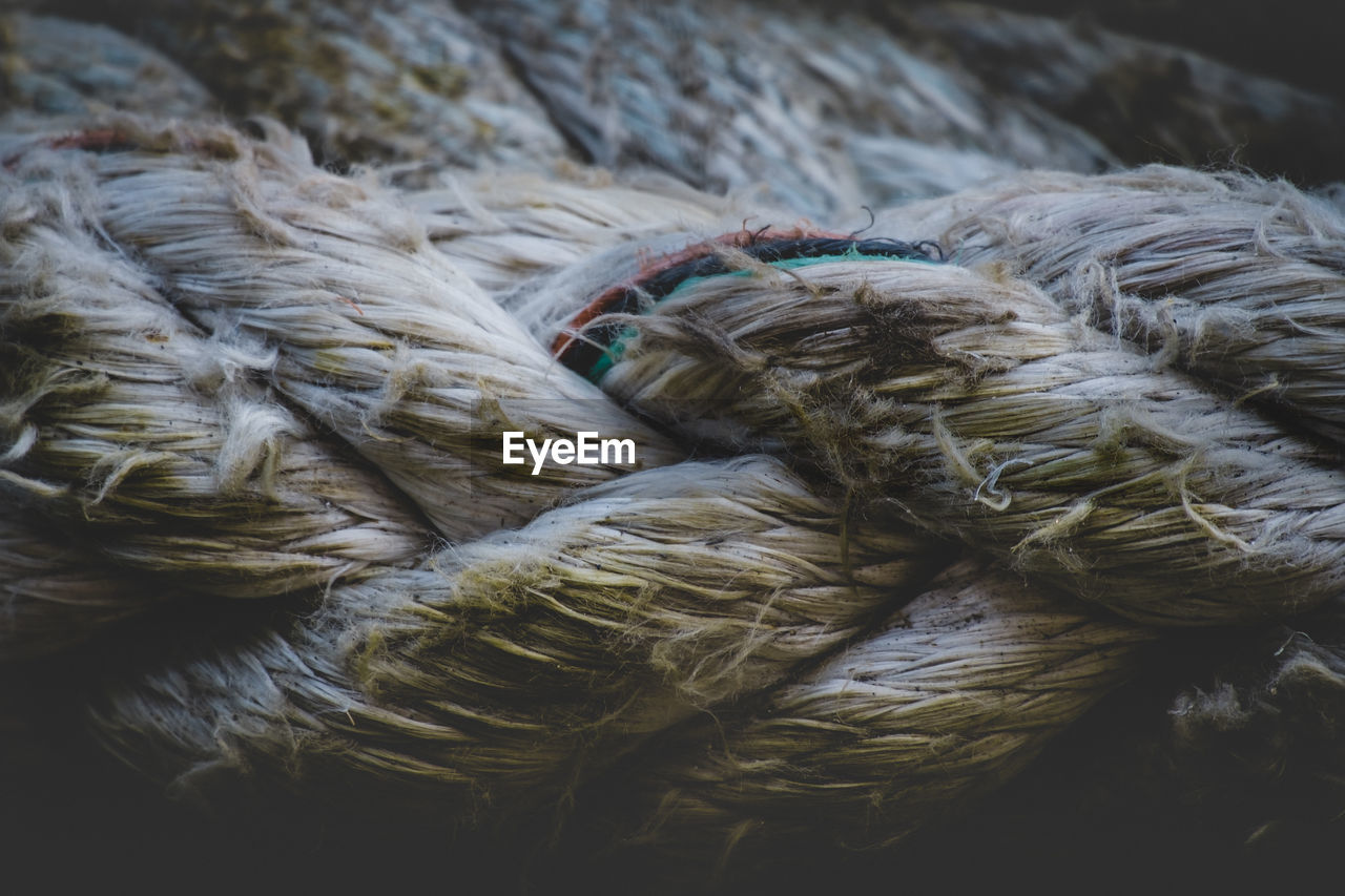Close-up of rope