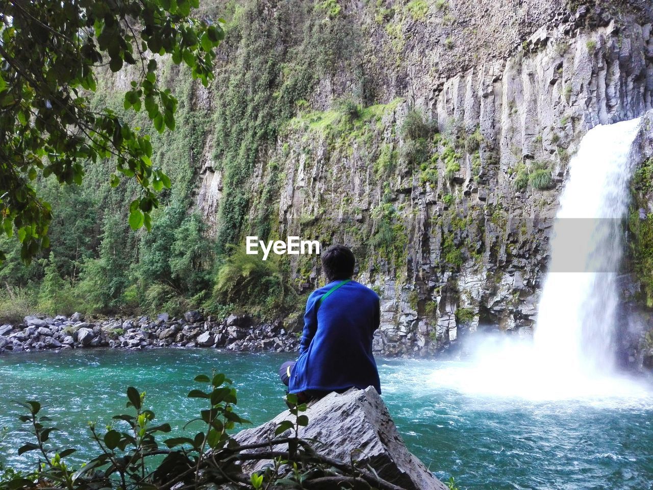 Rear view of man sitting on rock by river against waterfall in forest