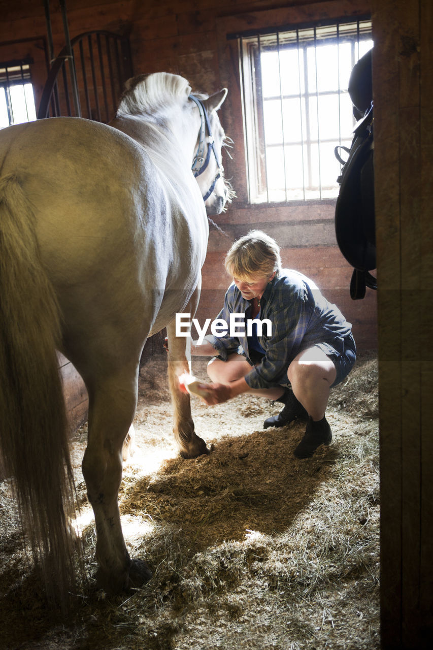 Mature woman cleaning horse in stable