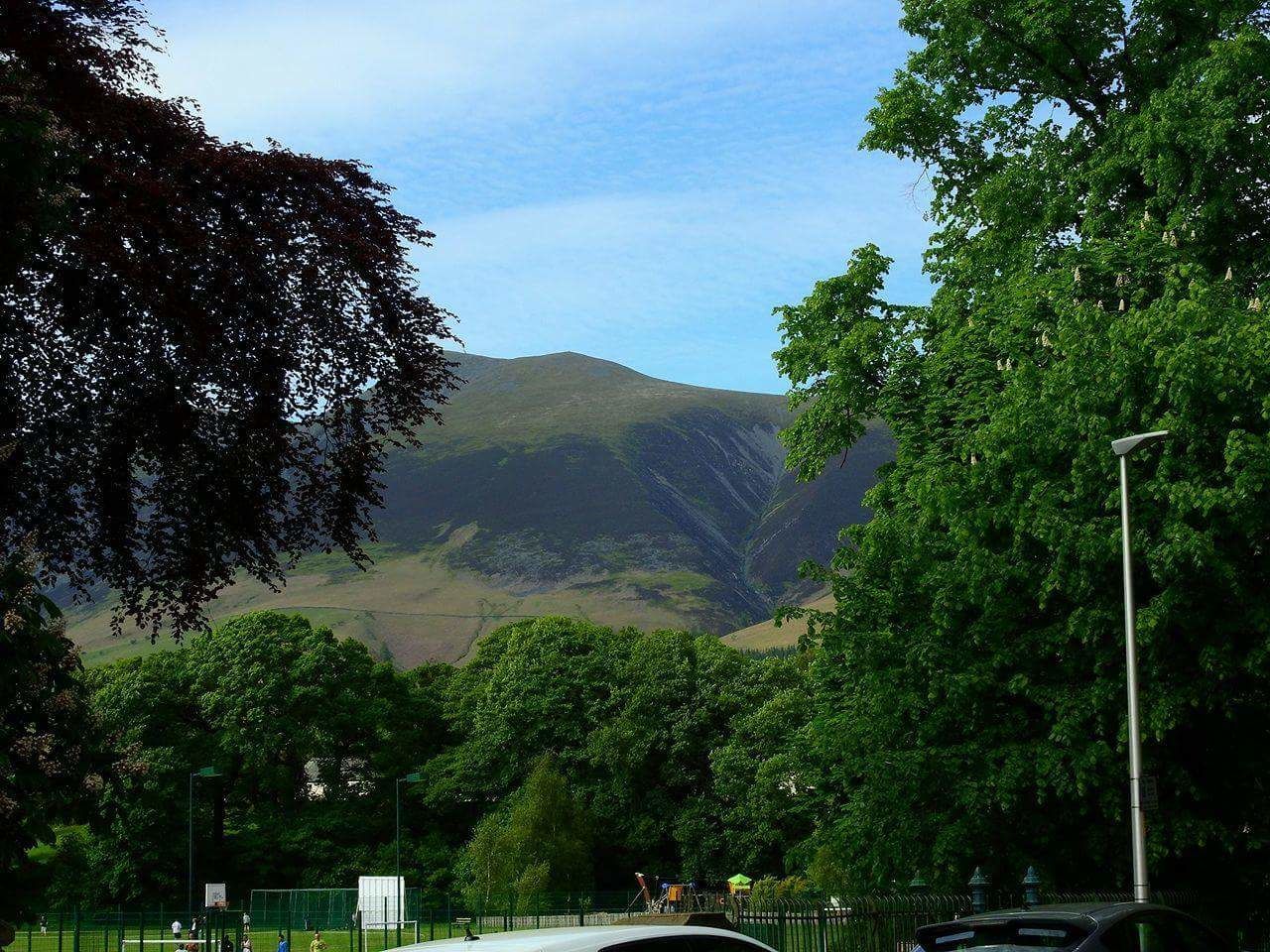 TREES AND MOUNTAIN AGAINST SKY