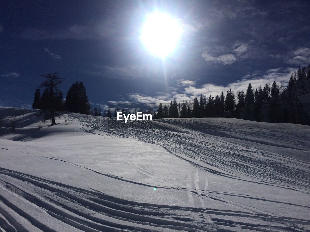 SUN SHINING THROUGH SNOW COVERED FIELD