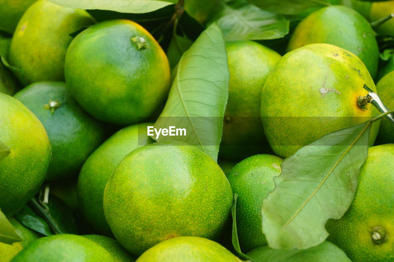 FULL FRAME SHOT OF APPLES AT MARKET