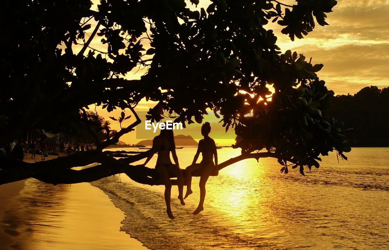 SILHOUETTE PEOPLE BY PALM TREES AGAINST SKY DURING SUNSET