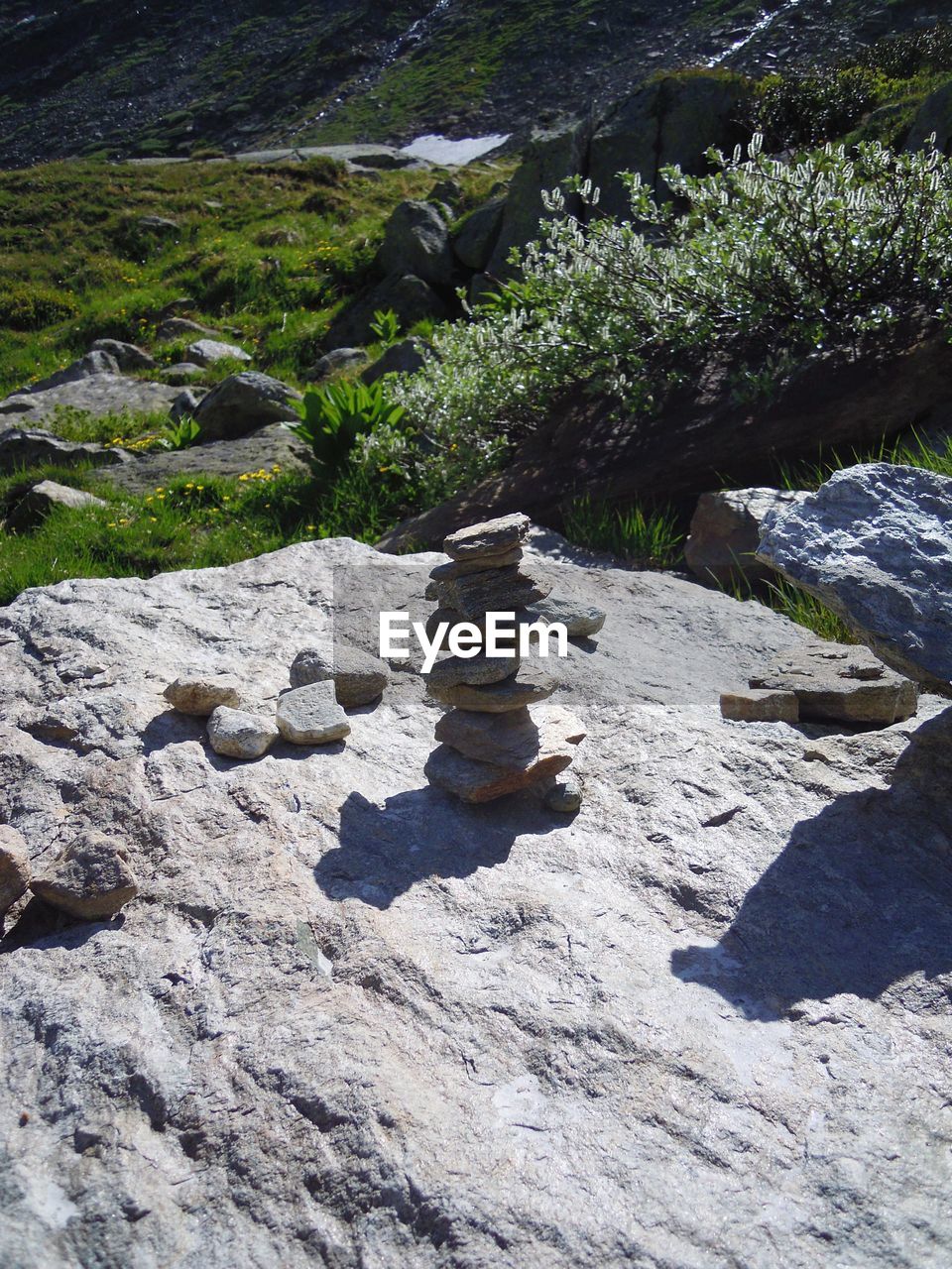 ROCKS AMIDST GREEN PLANTS