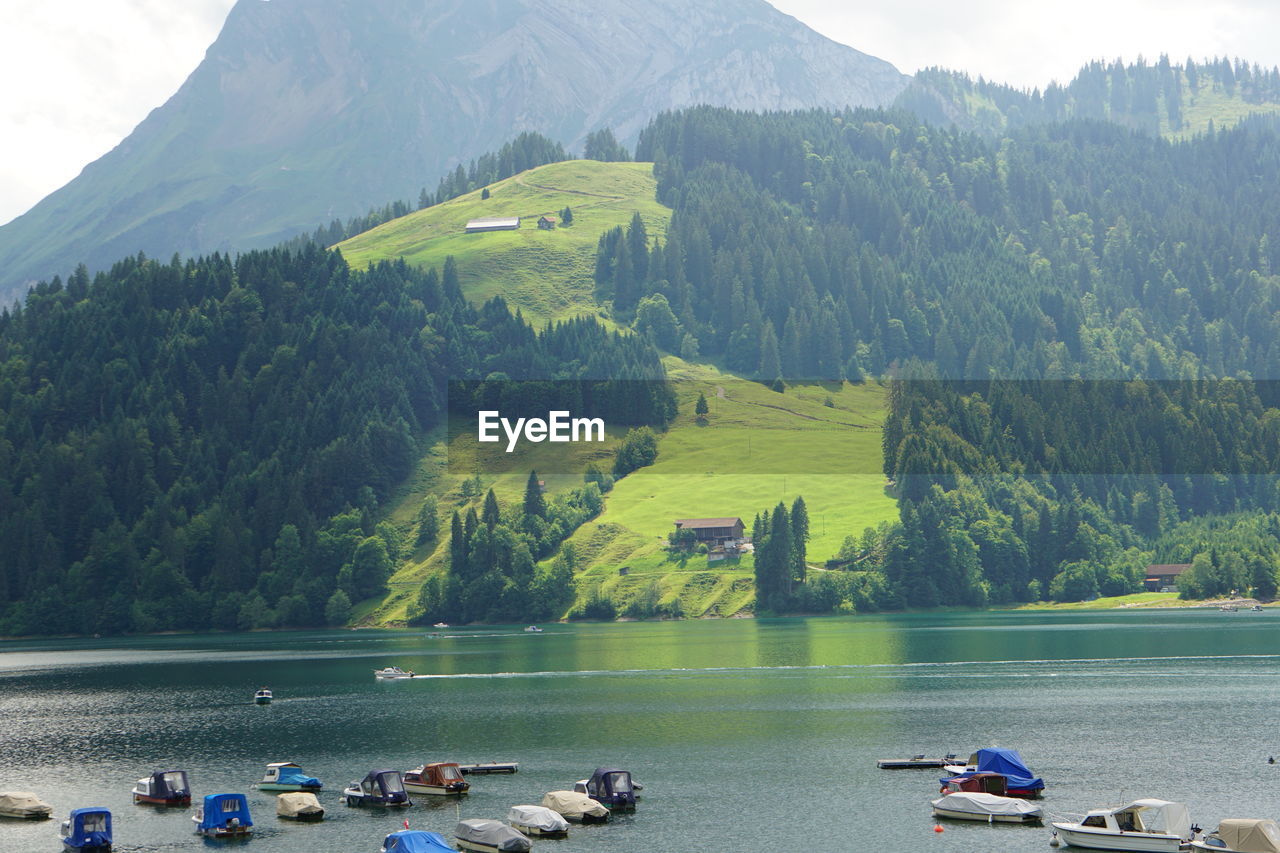 Scenic view of lake and mountains