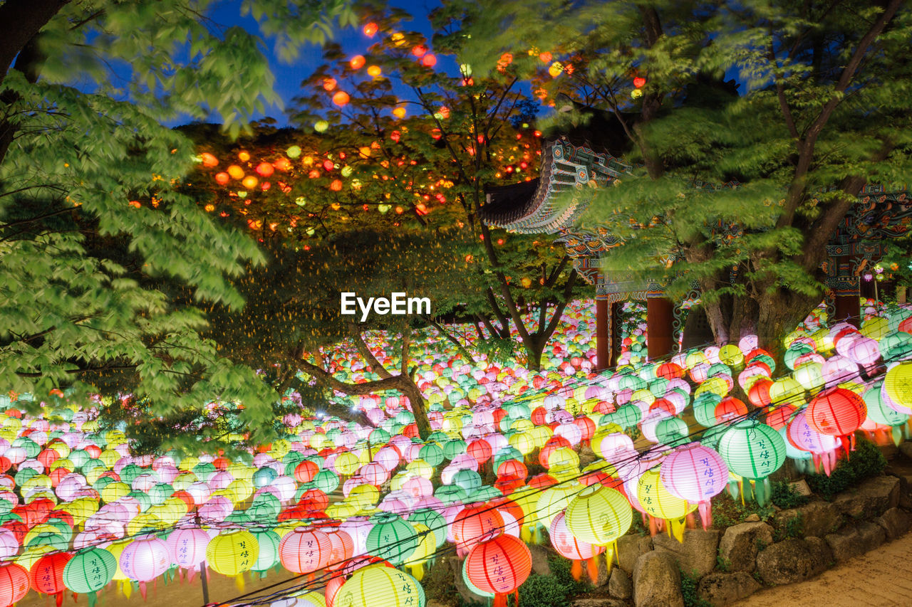 ILLUMINATED LANTERNS HANGING BY TREES