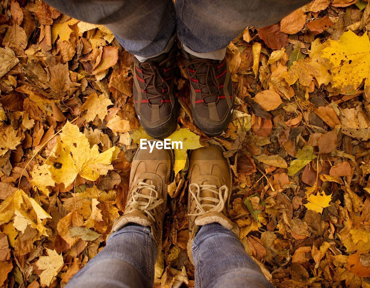 Low section of friends standing on fallen autumn leaves