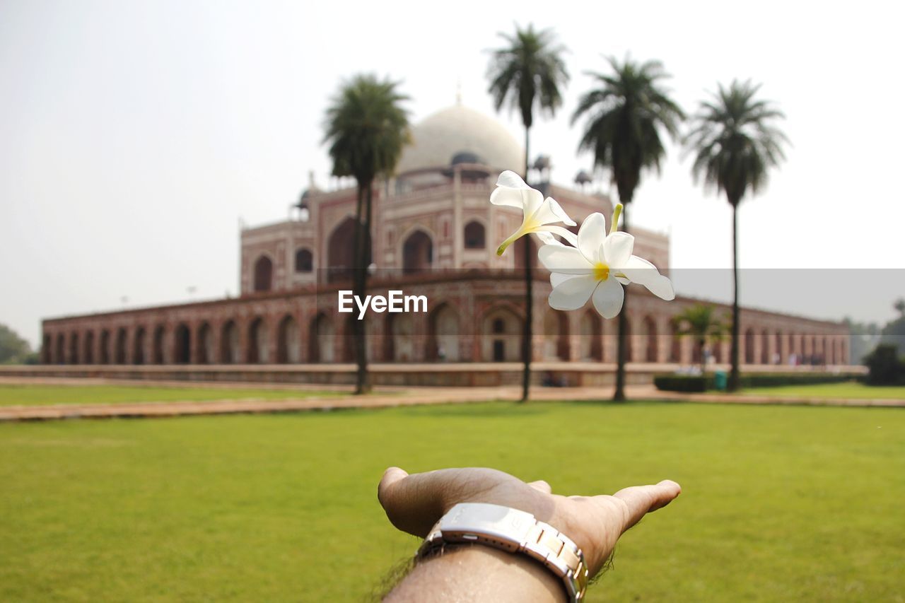 Cropped hand of man catching flowers against monumental building