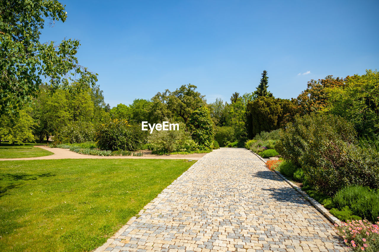 Footpath amidst trees against sky