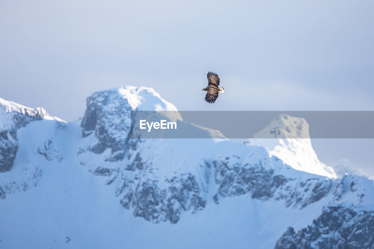 LOW ANGLE VIEW OF SNOWCAPPED MOUNTAIN