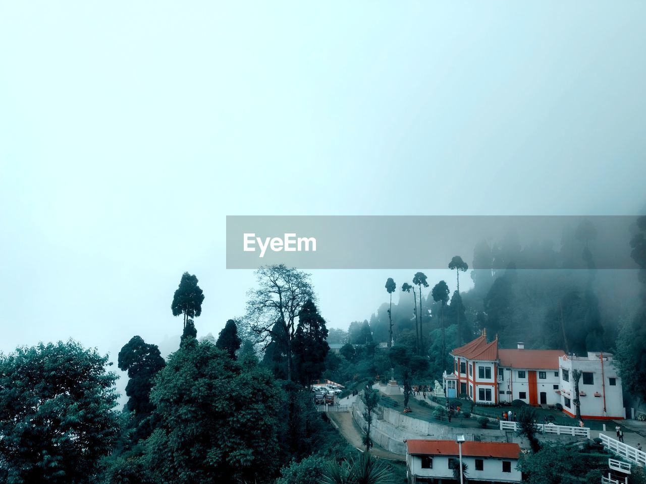 Trees and buildings against sky during winter