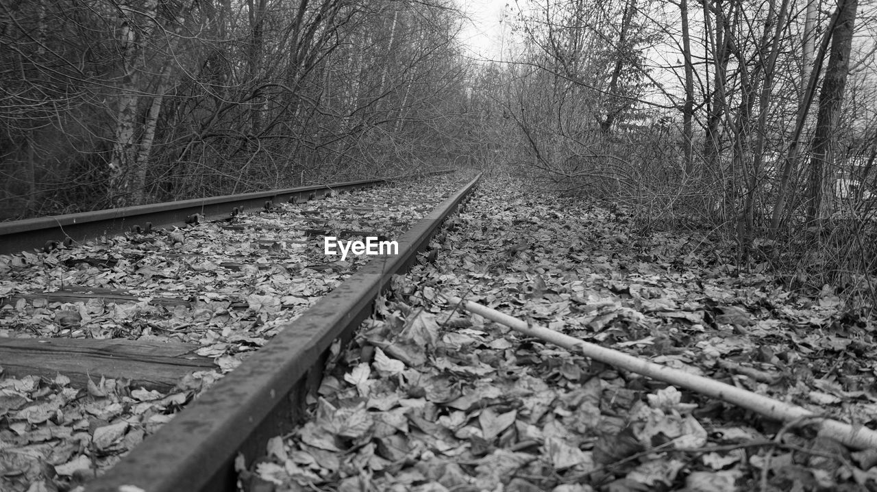 RAILROAD TRACK AMIDST PLANTS AGAINST SKY