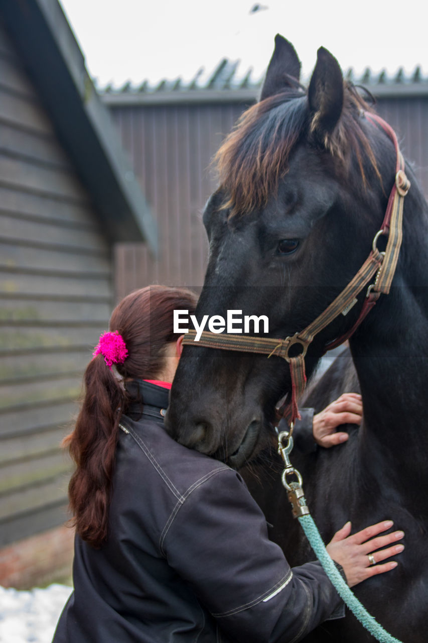 Rear view of woman standing with horse