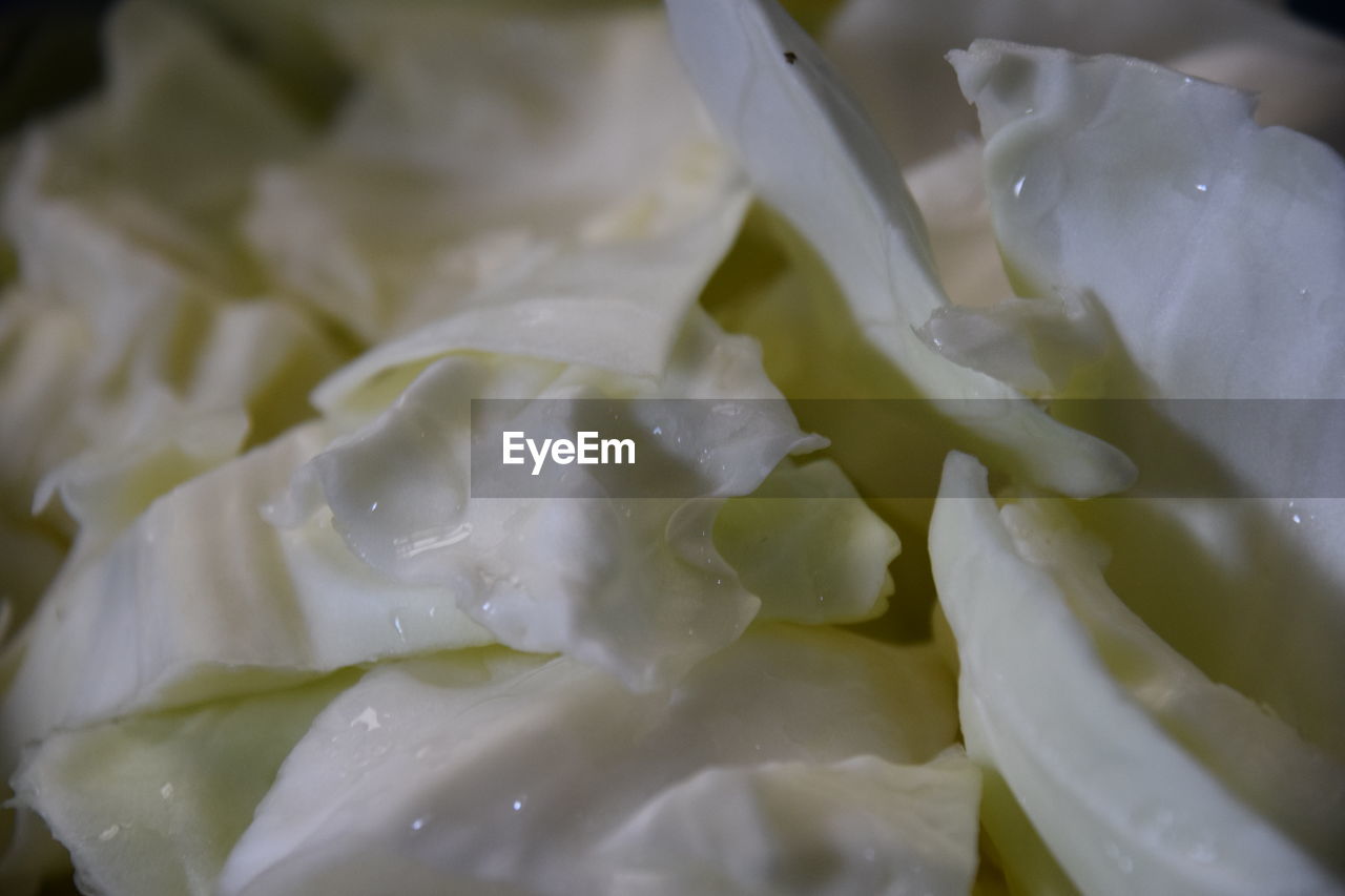 FULL FRAME SHOT OF LEMON SLICES