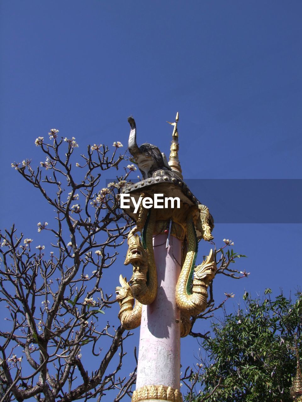 LOW ANGLE VIEW OF STATUE ON TREE AGAINST CLEAR SKY