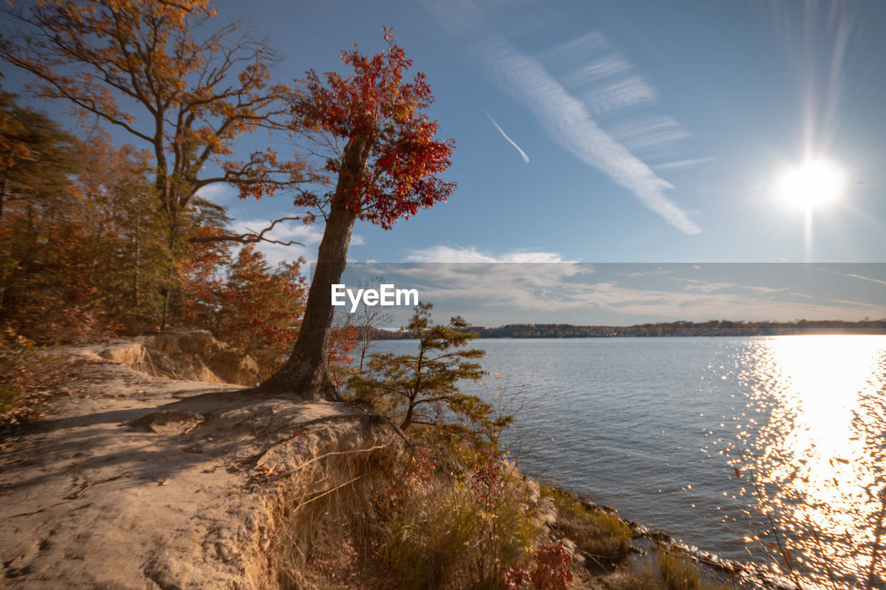 Scenic view of lake against sky on sunny day