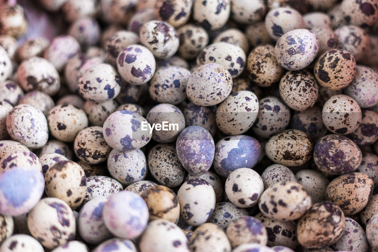 Full frame shot of quail eggs