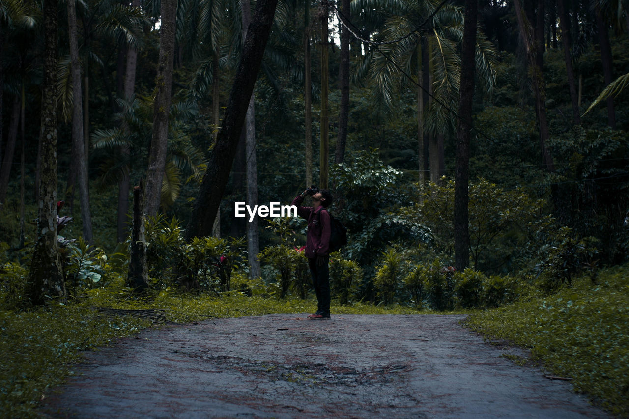 Man standing on footpath amidst trees in forest