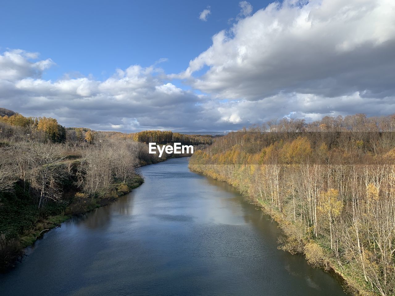 Scenic view of river amidst trees against sky