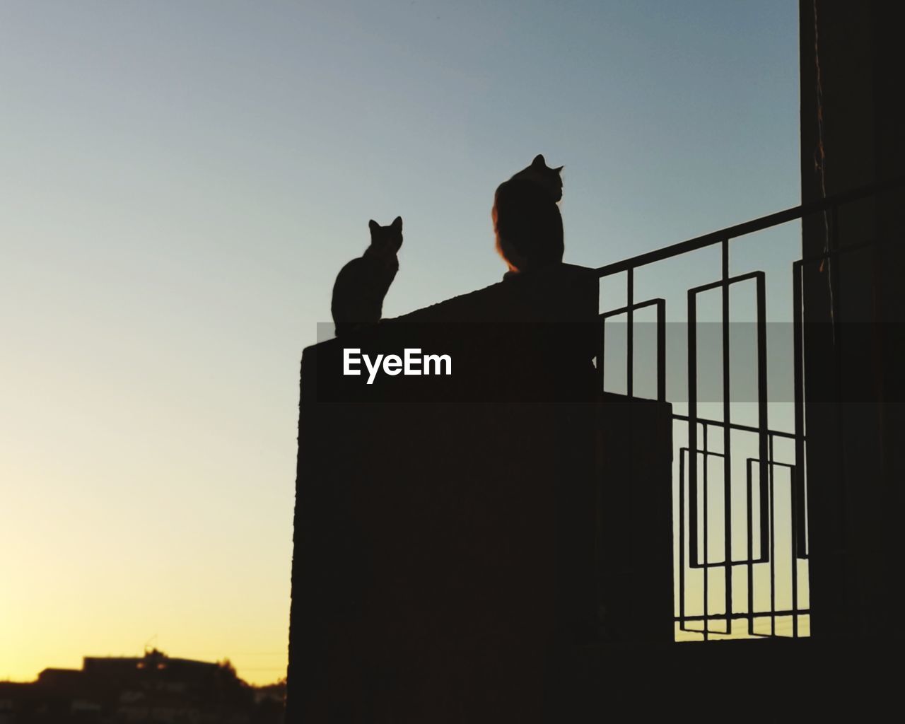 LOW ANGLE VIEW OF SILHOUETTE BIRDS AGAINST SUNSET SKY