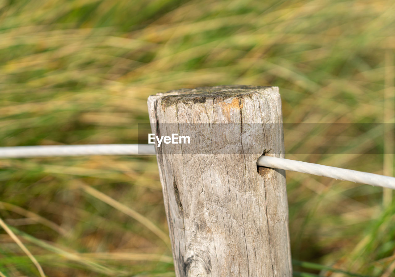 Close-up of wooden post on fence