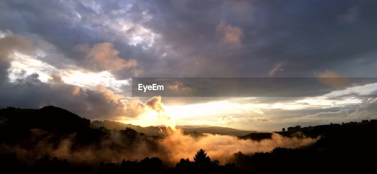 LOW ANGLE VIEW OF DRAMATIC SKY OVER SILHOUETTE TREES