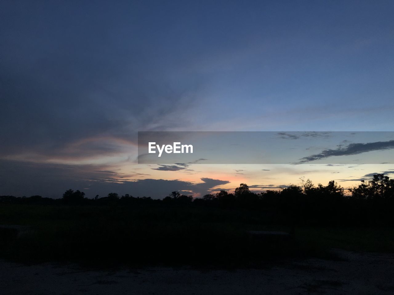 SILHOUETTE TREES AGAINST SKY DURING SUNSET