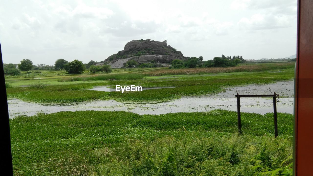 SCENIC VIEW OF GRASSY FIELD AGAINST SKY