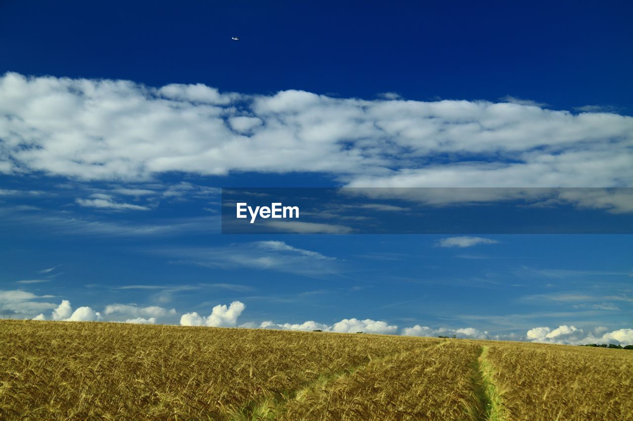 Scenic view of field against blue sky