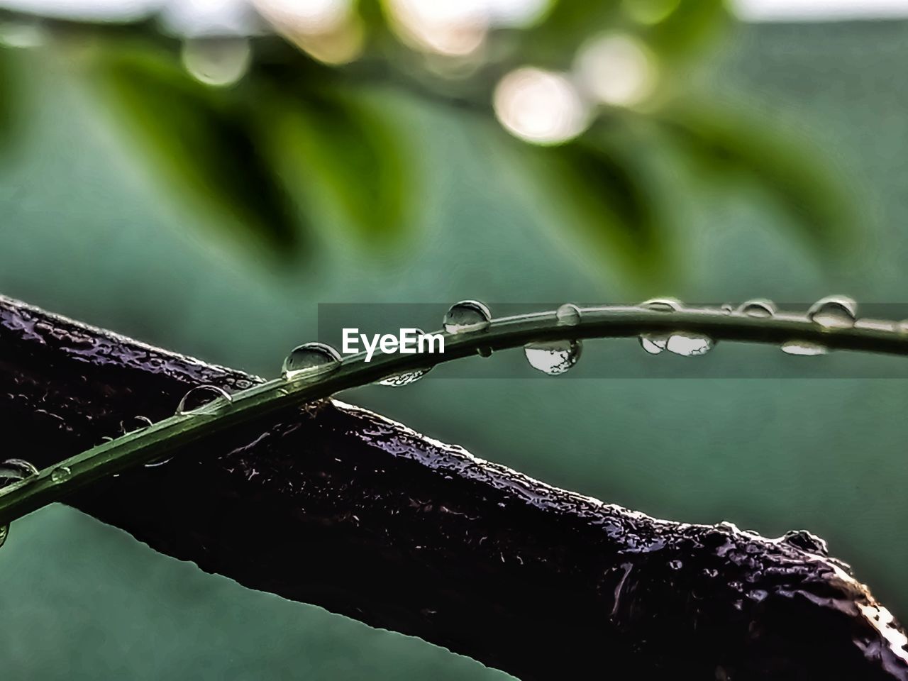 CLOSE-UP OF WATER DROPS ON METAL