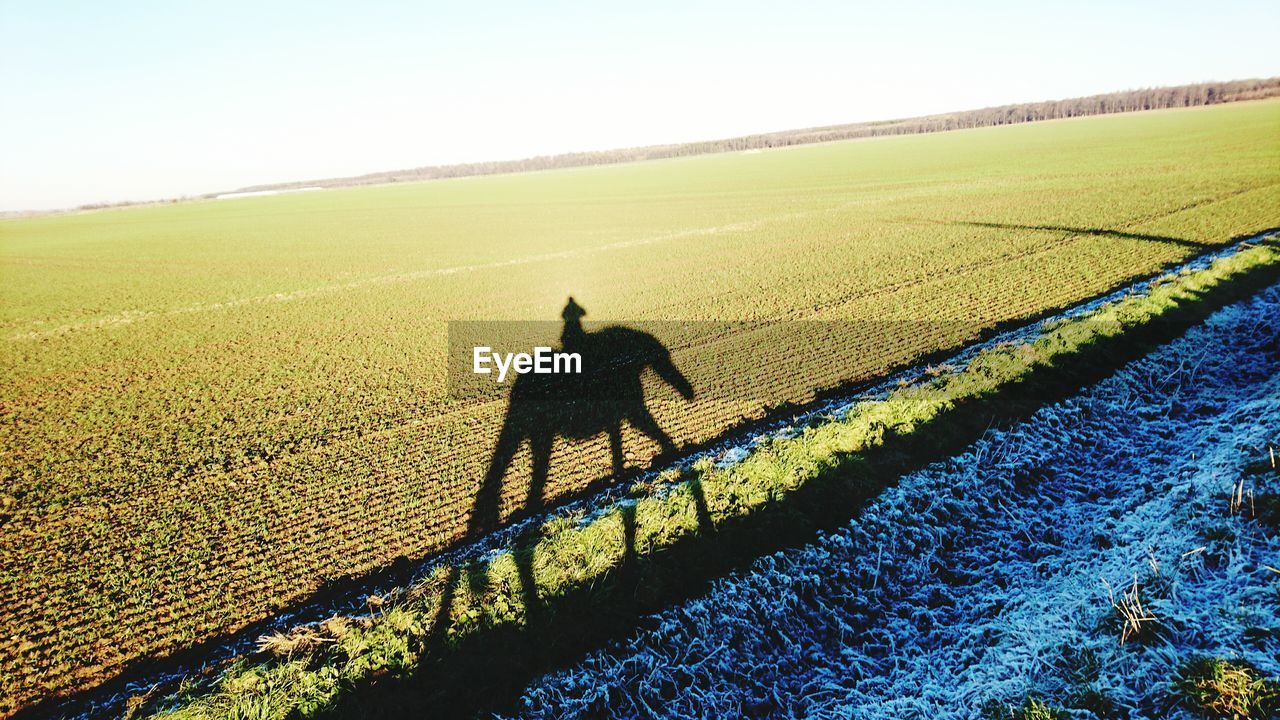 Shadow of person and horse on field