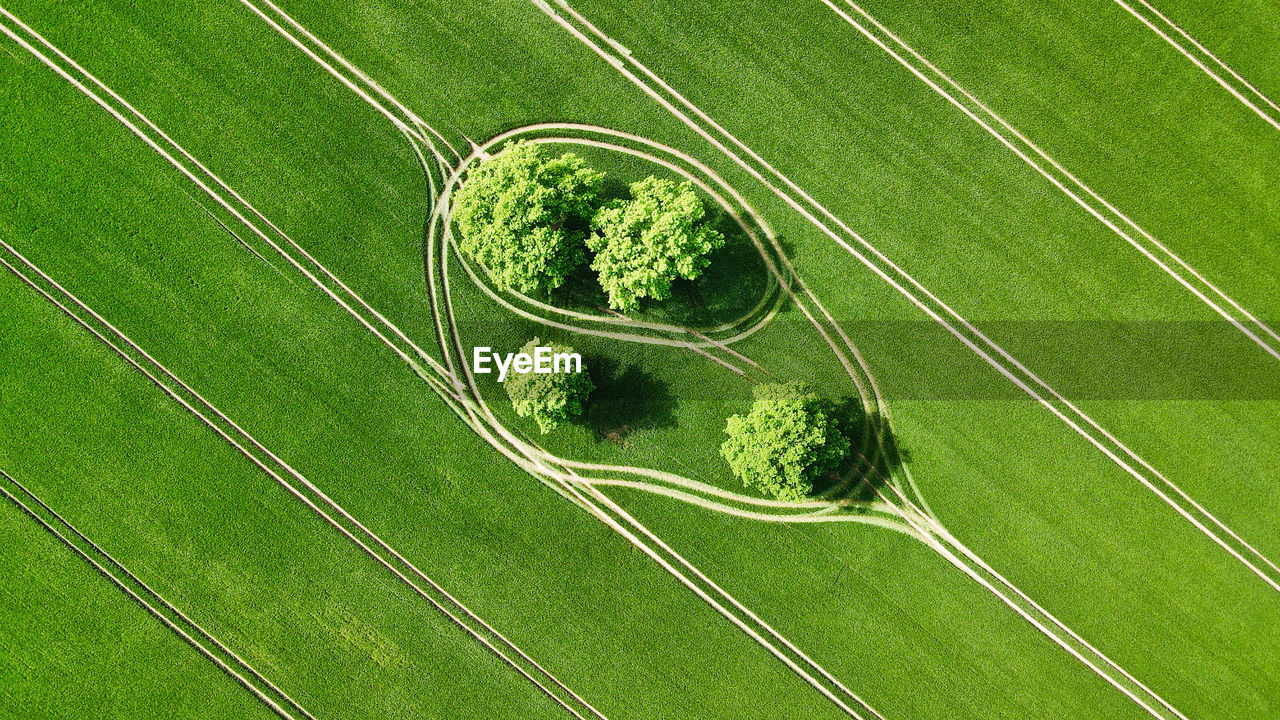 High angle view of farm field