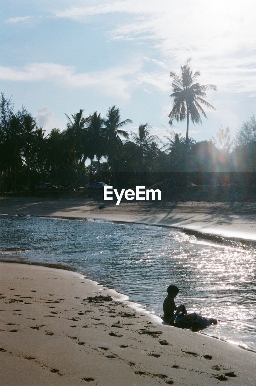 SCENIC VIEW OF BEACH BY PALM TREES AGAINST SKY