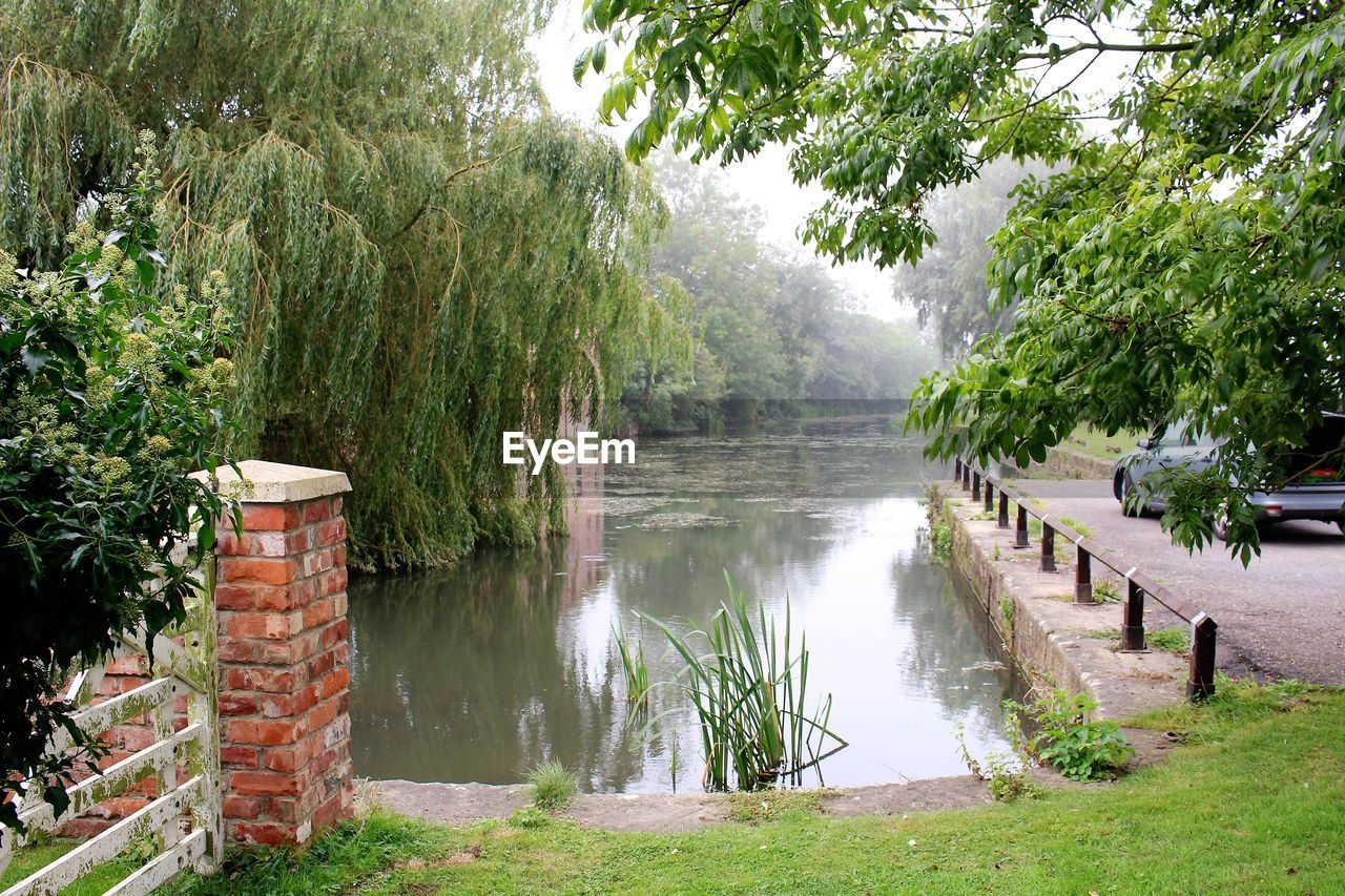 Scenic view of river by trees in park