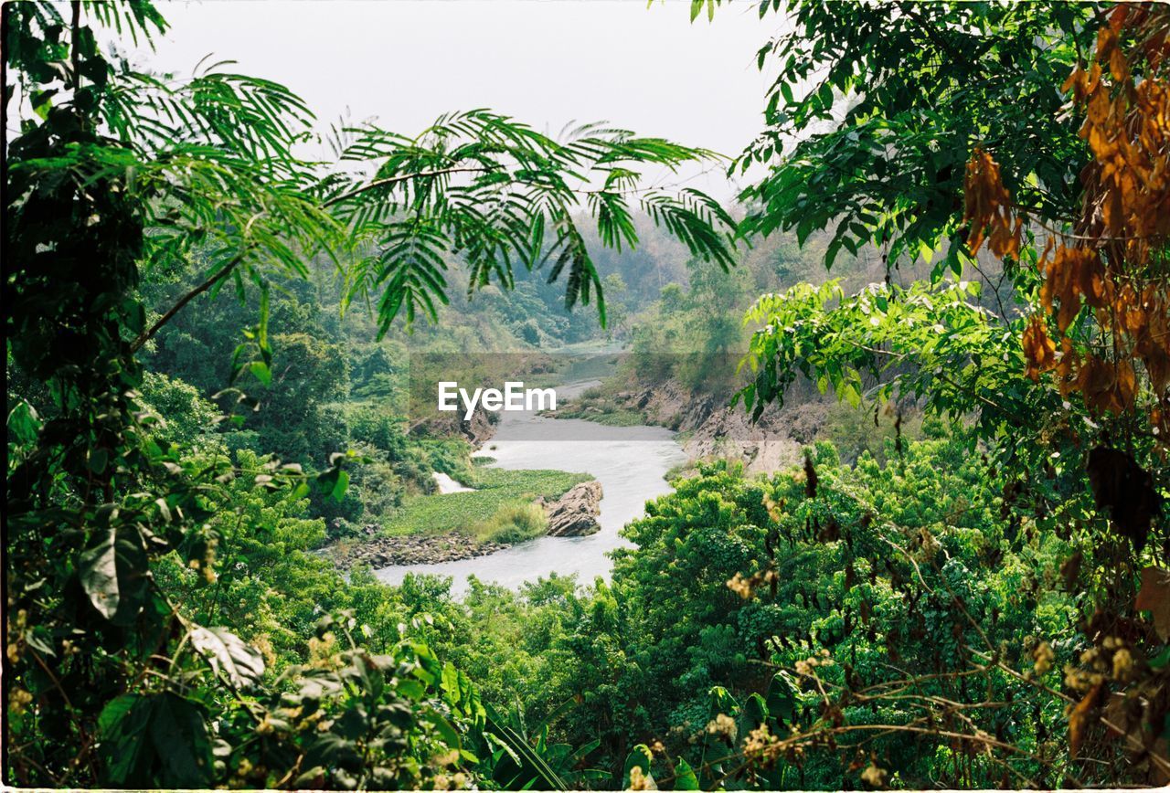 SCENIC VIEW OF WATERFALL