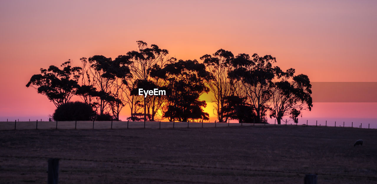 Silhouette trees on landscape against sky during sunset