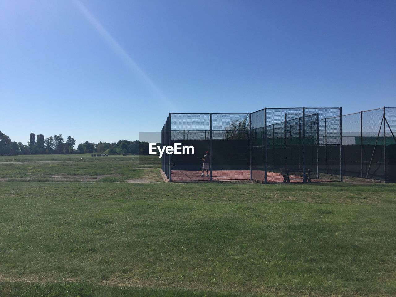 FIELD AGAINST SKY