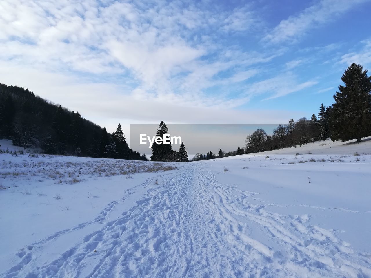 Snow covered field against sky