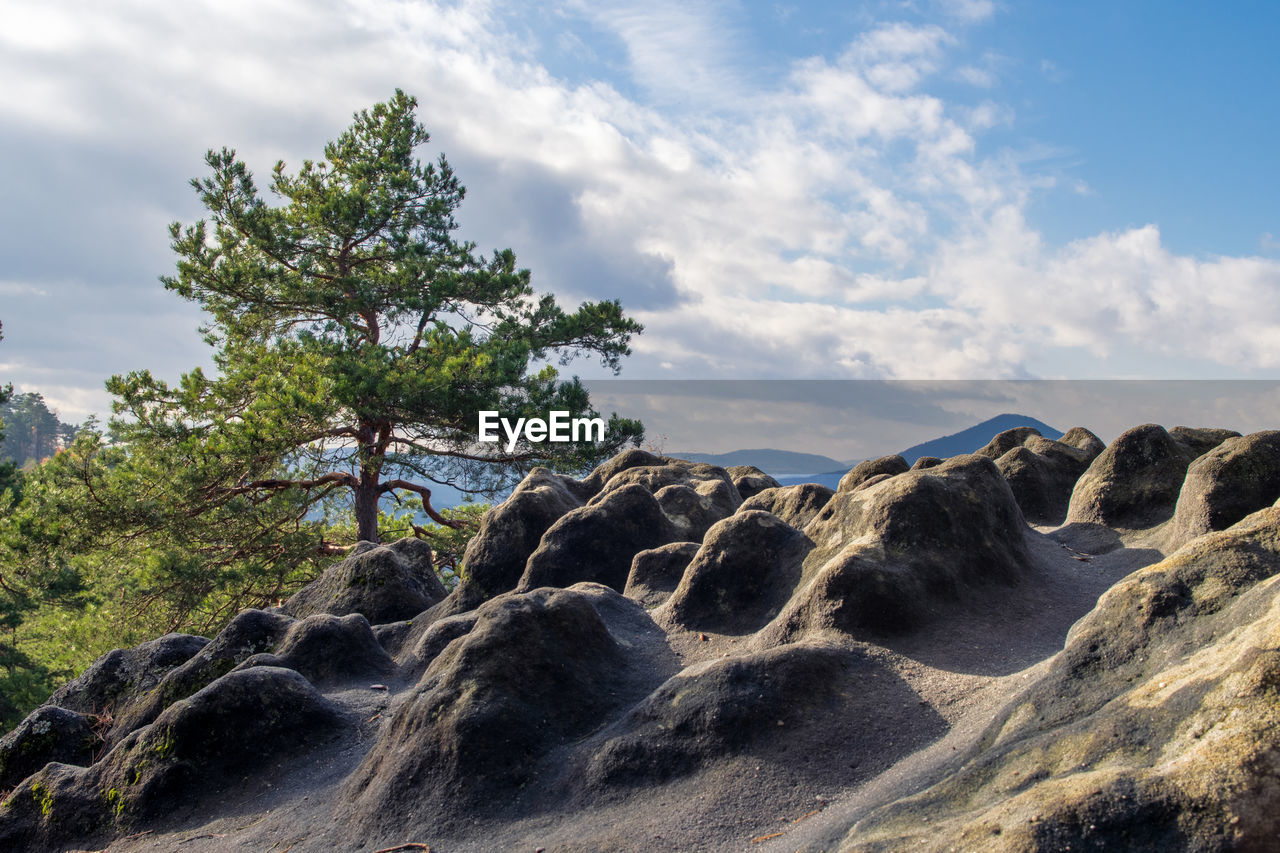 rock, cloud, sky, nature, landscape, environment, tree, wilderness, plant, scenics - nature, land, beauty in nature, mountain, travel, travel destinations, outdoors, non-urban scene, activity, geology, tranquility, no people, terrain, day, sea, leisure activity, tourism, pinaceae, coniferous tree, cliff, coast, adventure, forest, water, pine tree, ridge, holiday, trip, animal wildlife