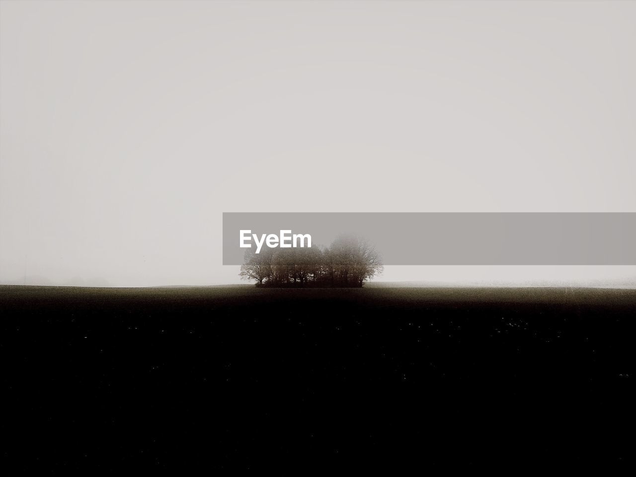 Trees on landscape against clear sky