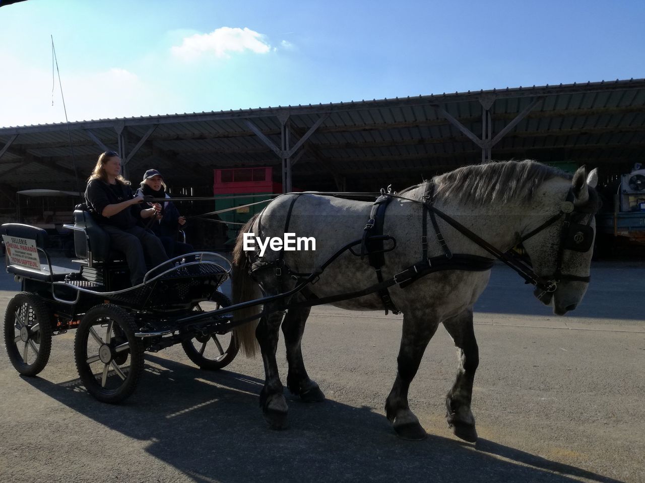 HORSE RIDING MOTORCYCLE